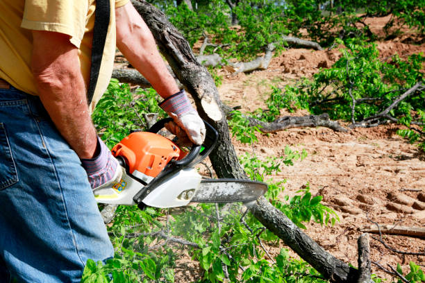 Seasonal Cleanup (Spring/Fall) in The Galena Territory, IL